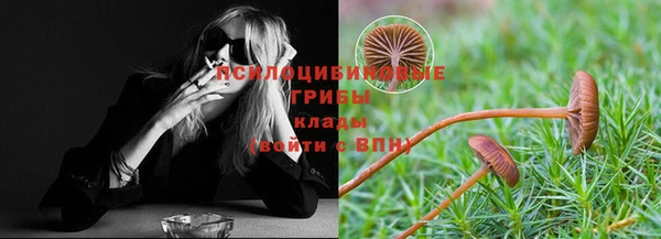 каннабис Новокубанск