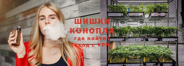 каннабис Новокубанск